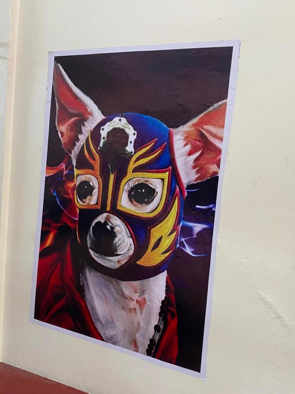 ホテル Mil Mascaras オアハカ州 エクステリア 写真